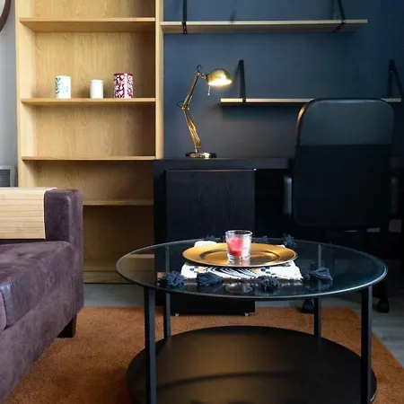 Nice Studio 31 M Ideal For 2 Center Of Lille Lejlighed